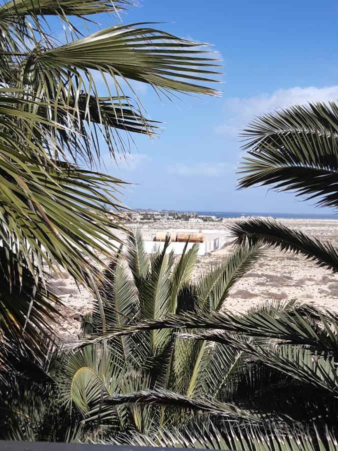 Oasis Vistamar Daire Corralejo Dış mekan fotoğraf